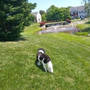 Meet your Posher, Joann